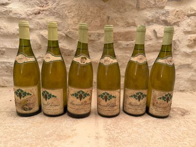 6 B Meursault -Charmes . Domaine Gauffroy, 1995 - Photo 1