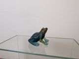 a frog figurine sitting on a glass table