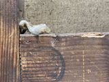 Photo 2/2 du lot