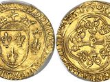 a gold coin with an image of a lion on it