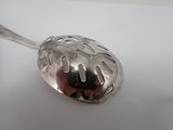 a silver spoon with a leaf design on it