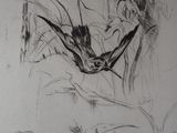drawing of a bird in flight with other birds in the background