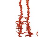 red coral necklace and earrings set on a white background