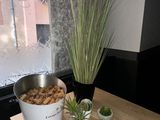 a potted plant on a wooden table next to a bowl of nuts
