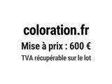 Photo 1/1 du lot