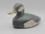 un vieux canard perché sur une surface blanche