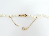 a close up of a necklace with pearls and a gold clasp