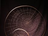 a close up of a sculpture of a spider web on a wooden base