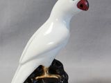 a white bird sitting on a rock with a red beak