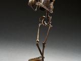 bronze statue of a skeleton holding a skull on a wooden base