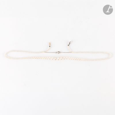 un gros plan d'un collier et d'une paire de boucles d'oreilles posés sur une surface blanche