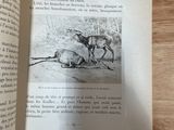 Photo 11/15 du lot