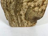 a close up of a piece of wood with a tag on it