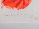 painting of a red poppy on a white background with a black border