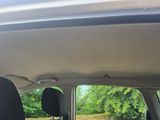 un chien assis sur la banquette arrière d'une voiture