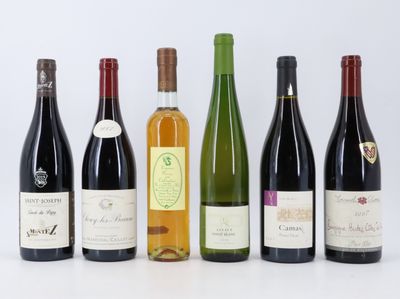 six bouteilles de vin sont alignées sur une surface blanche