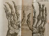 someone is holding a book with a drawing of a hand and a skeleton ' s hand