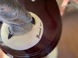 a bird that is standing on top of a table