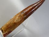 a tooth that has been placed on a clear stand