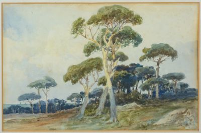 une image représentant un tableau montrant des arbres dans un champ, avec le ciel en arrière-plan