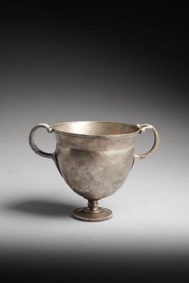 a silver cup with handles on a pedestal on a gray background