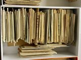 une bibliothèque sur laquelle sont rangés de nombreux livres