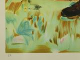 a picture of a painting of a pair of shoes in the grass