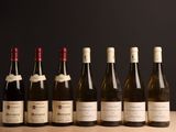 six bouteilles de vin sont alignées sur une table