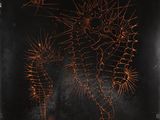 an image of a drawing of a seahorse on a blackboard