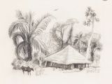 dessin au crayon représentant une cabane au cœur d'une région tropicale