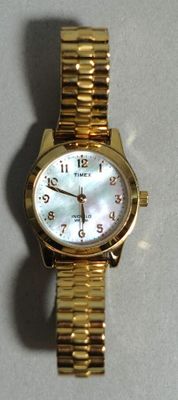 TIMEX Montre boitier acier