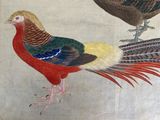 two birds that are standing next to each other