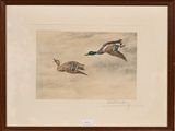 un tableau représentant deux canards volant dans le ciel