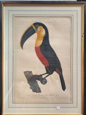 tableau représentant un toucan perché sur une branche, dans un cadre