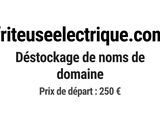 Photo 1/1 du lot