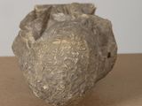 a large rock that is sitting on a table