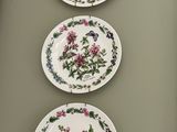 de nombreuses assiettes ornées de fleurs étaient alignées sur une table