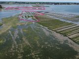 an aerial view of a field of crops in the middle of a body of water