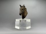 sculpture représentant une tête de cheval posée sur un socle en acrylique transparent