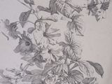 a drawing of a bunch of flowers in a vase