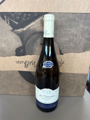 Lot de 13 bouteilles de Chardonnay 2023- le temeraire-maison…