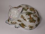 a white cat that is laying down on a table