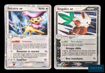 Deux cartes Pokémon sont représentées côte à côte sur un fond noir.