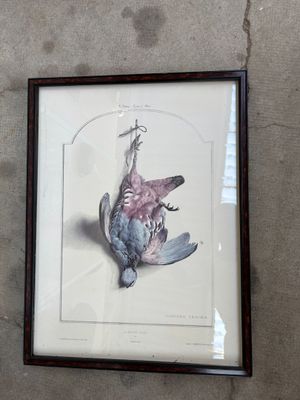 la photo d'une photo représentant un oiseau mort accroché à un mur