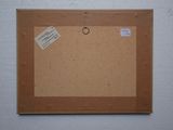 a picture of a cork board on the wall