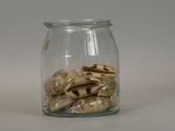 a glass jar with shells in it on a table