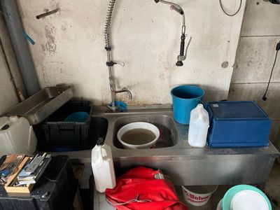 Plonge inox double bacs égouttoir droit, robinet mitigeur avec douchet - Photo 1