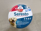 un bouton sur lequel figure l'image d'un chien