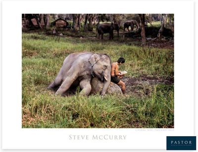 une photo d'un éléphant couché dans l'herbe