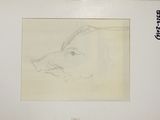 an image of a picture of a drawing of a deer